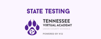 Graphic for Tennessee Virtual Academy State Testing event